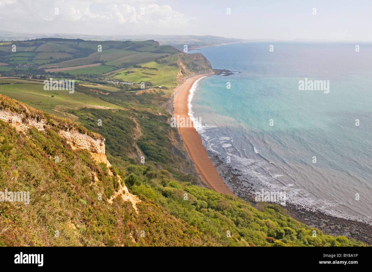 Guardando verso est lungo la baia di Lyme costa da Golden Cap, con la famosa spiaggia di Seatown nella distanza Foto Stock