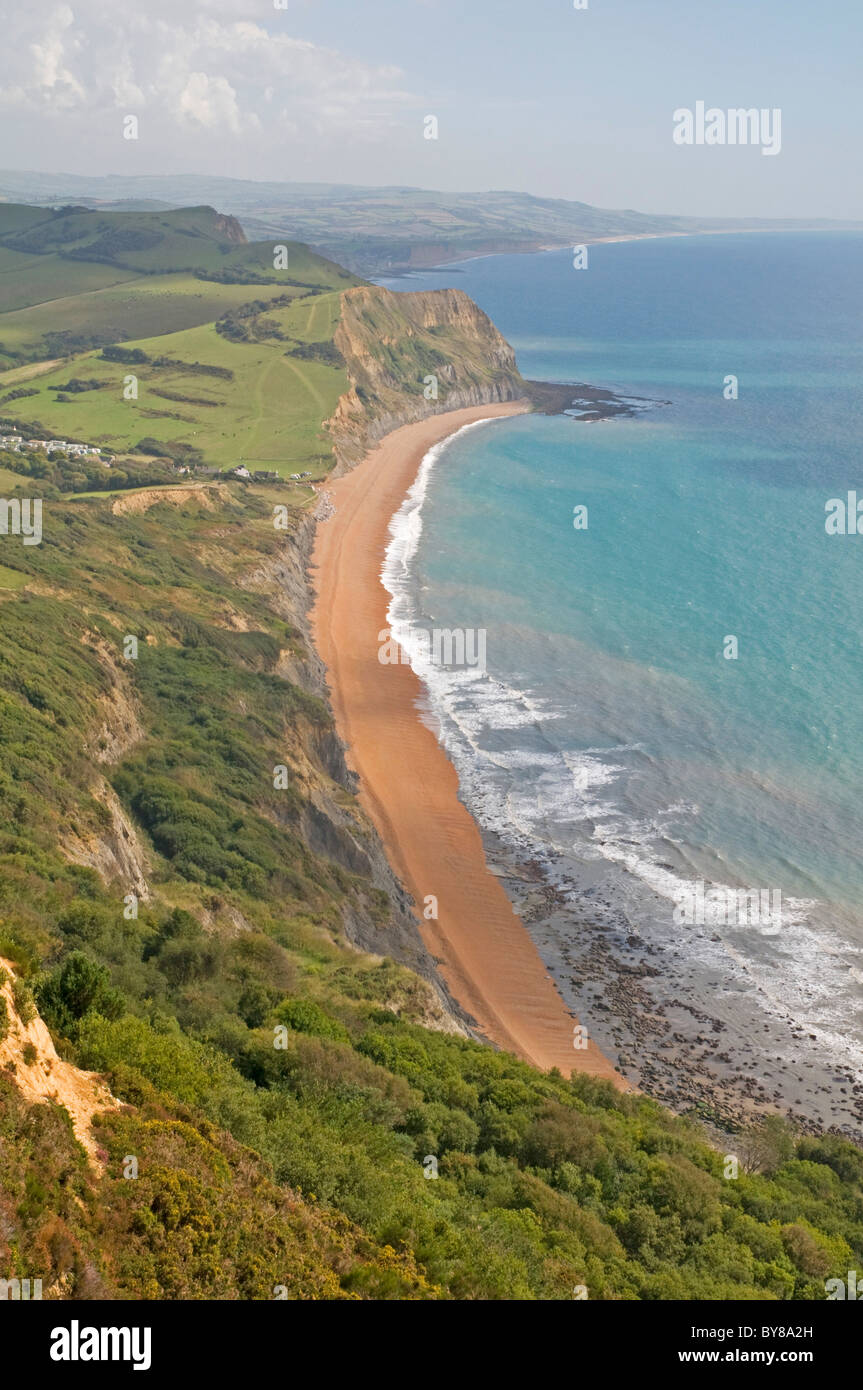 Guardando verso est lungo la baia di Lyme costa da Golden Cap, con la famosa spiaggia di Seatown nella distanza Foto Stock