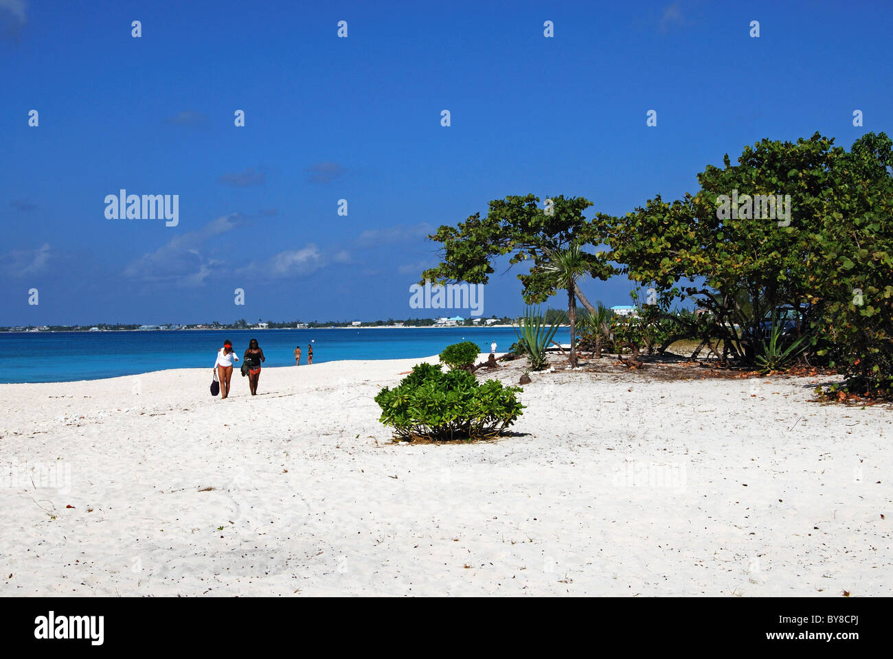 Vista della spiaggia, George Town, Grand Cayman, Isole Cayman, Isole dei Caraibi. Foto Stock