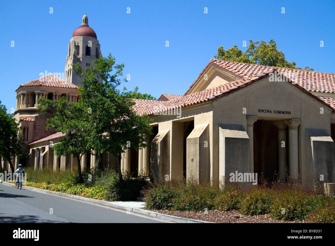Hoover Torre della Stanford University campus in Palo Alto, California, USA. Foto Stock