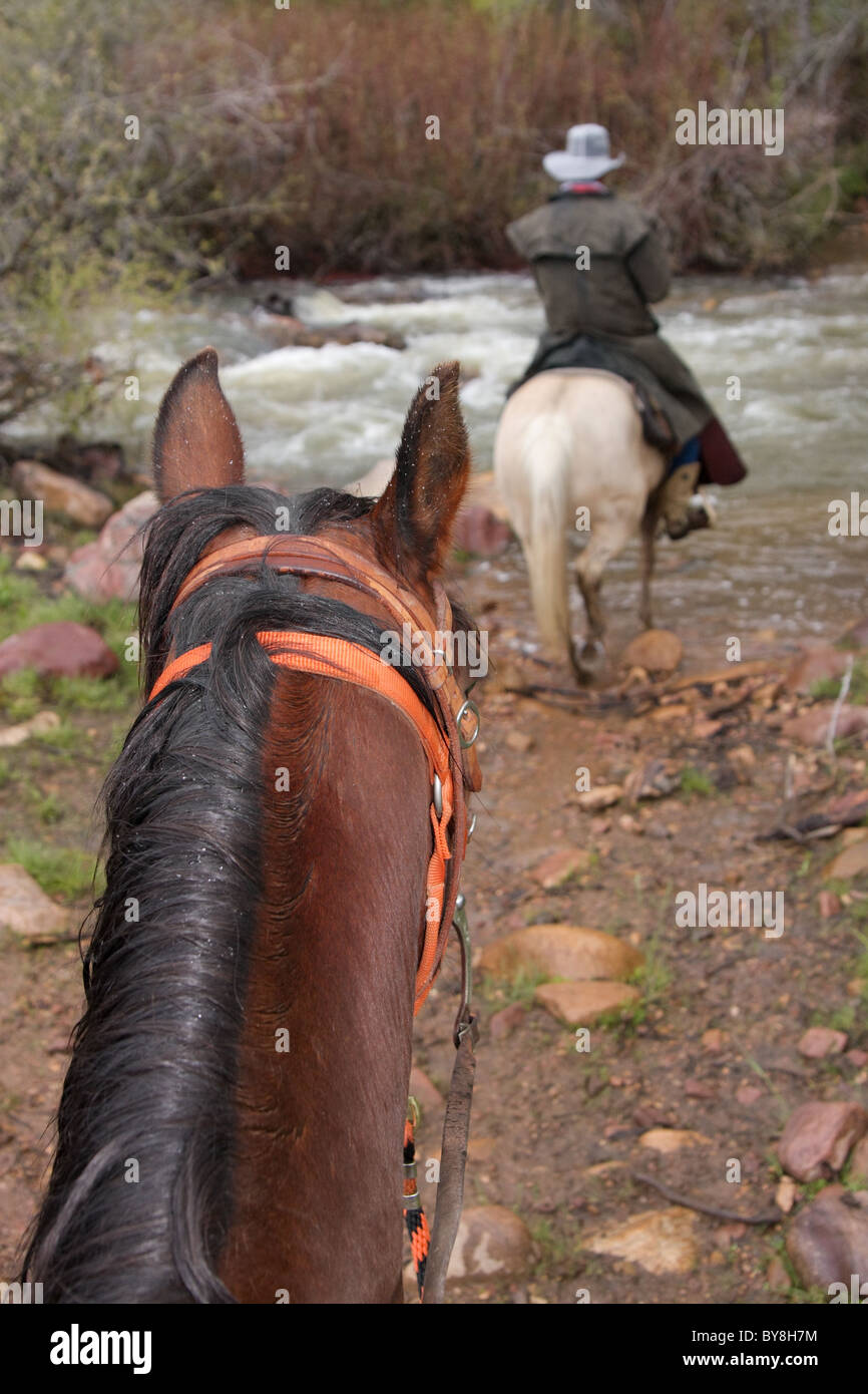 Due cavalli e un pilota seguendo il sentiero verso il fiume Foto Stock