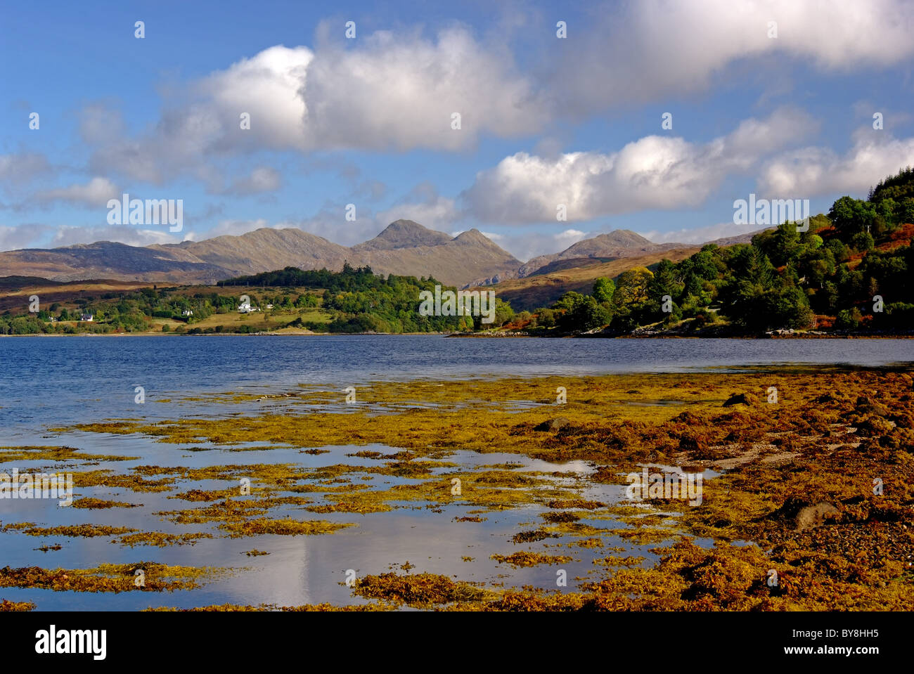 Regno Unito Scozia Highland Argyll Loch Sunart vicino Strontian Foto Stock