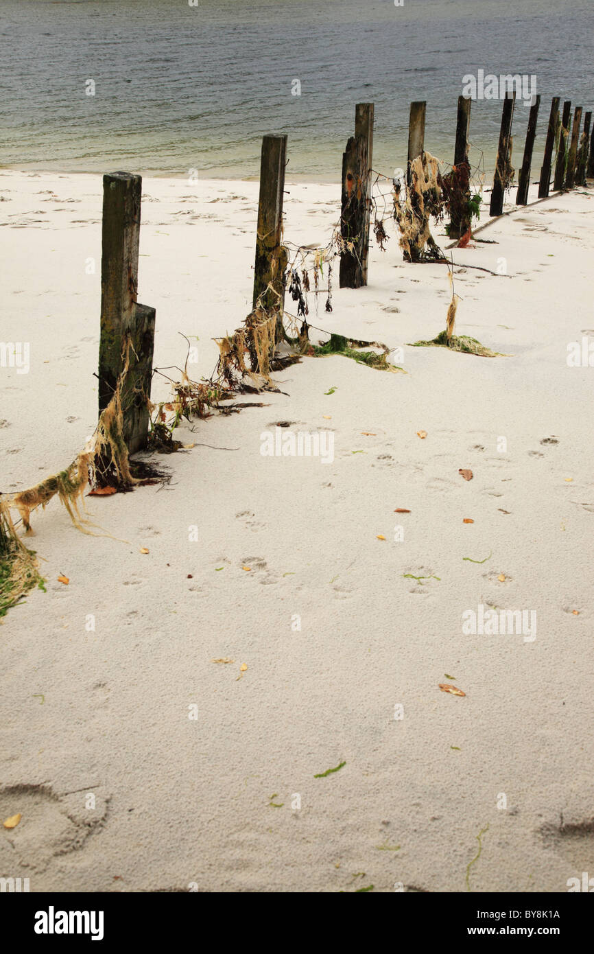 Spiaggia di sabbia bianca Morar, Scozia noto anche come Silver Sands Foto Stock