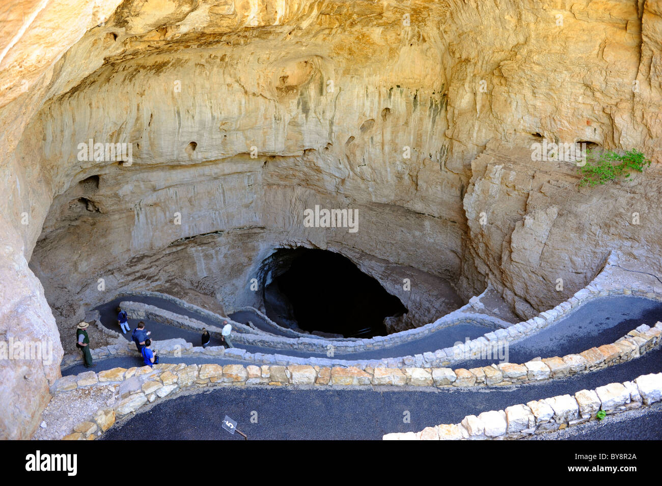 Pipistrelli Area Entrata parco nazionale di Carlsbad Cavern Foto Stock