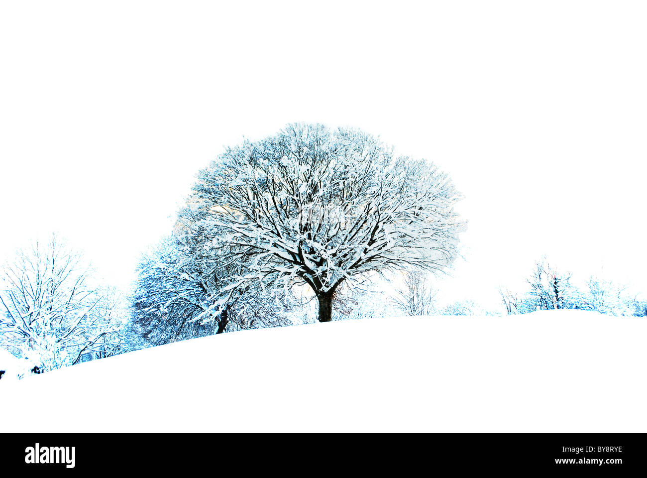 Bianco neve nel bosco incantato Foto Stock