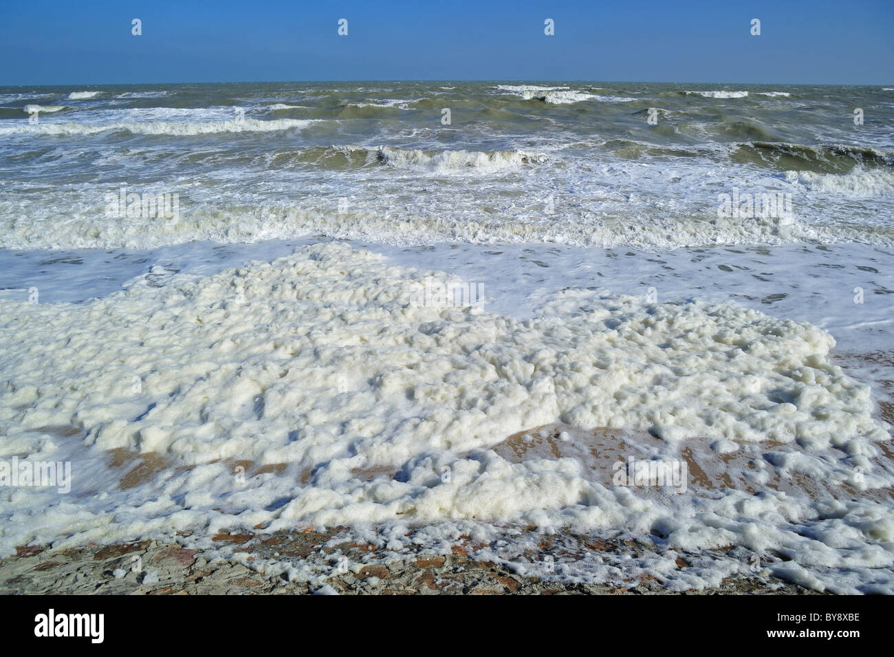 Schiuma di mare oceano / schiuma / spiaggia schiuma formata durante la burrascosa condizioni e a seguito di una fioritura algale Foto Stock