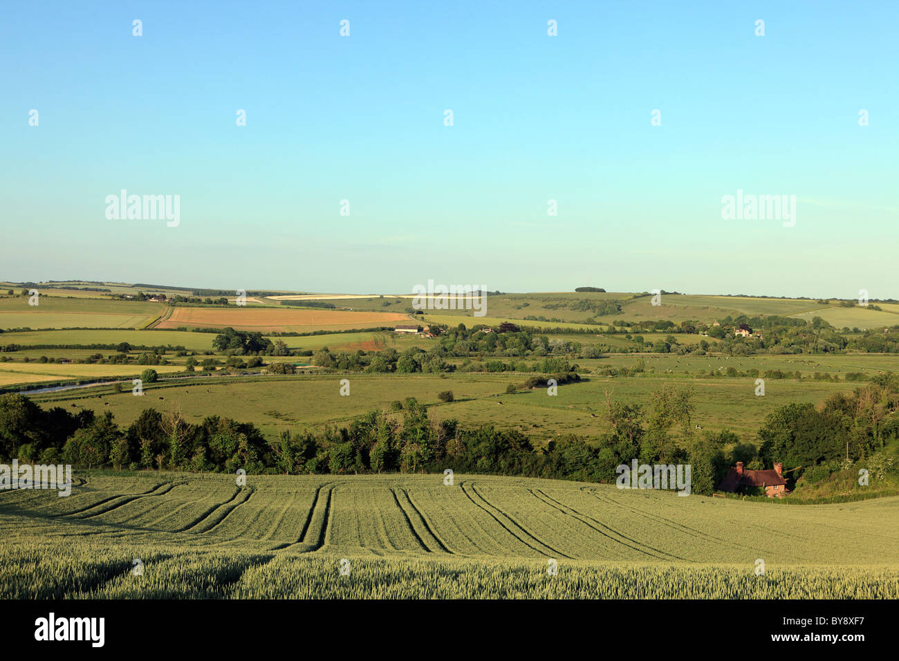 Regno Unito west sussex arun valley una vista verso burpham Foto Stock