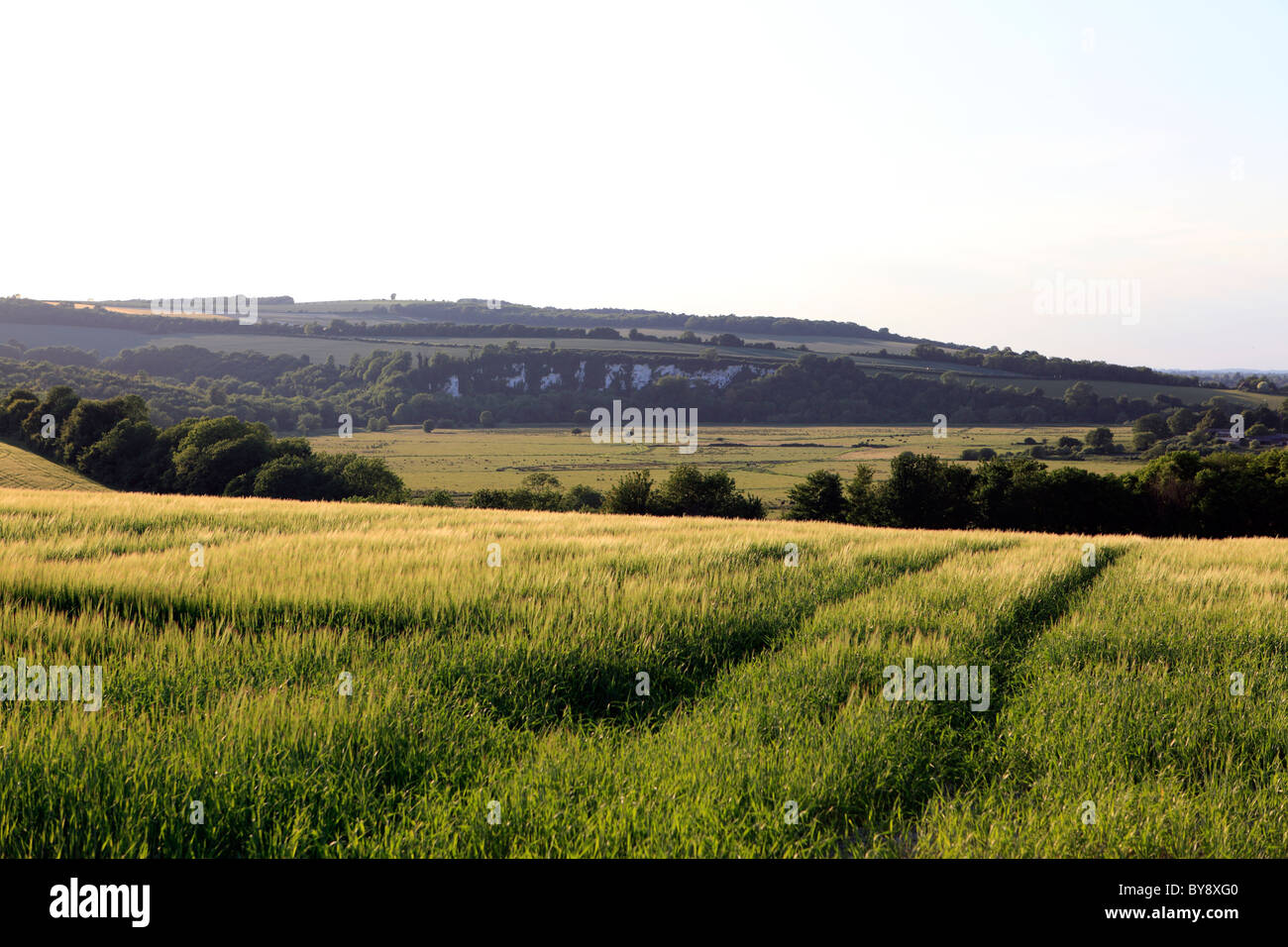 Regno Unito west sussex arun valley una vista verso amberley Foto Stock