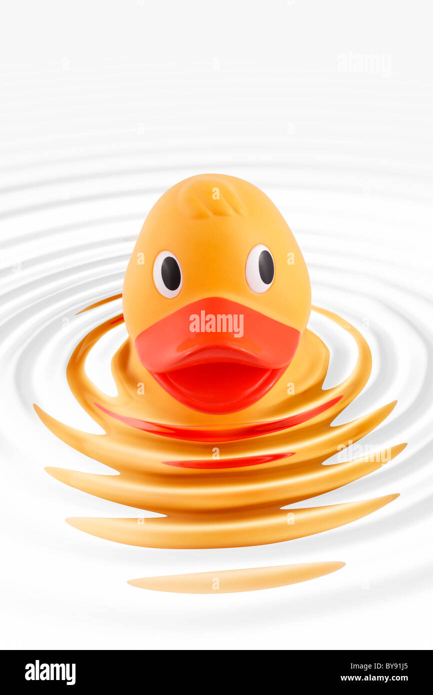 Rubber Duck lottando per nuotare Foto Stock