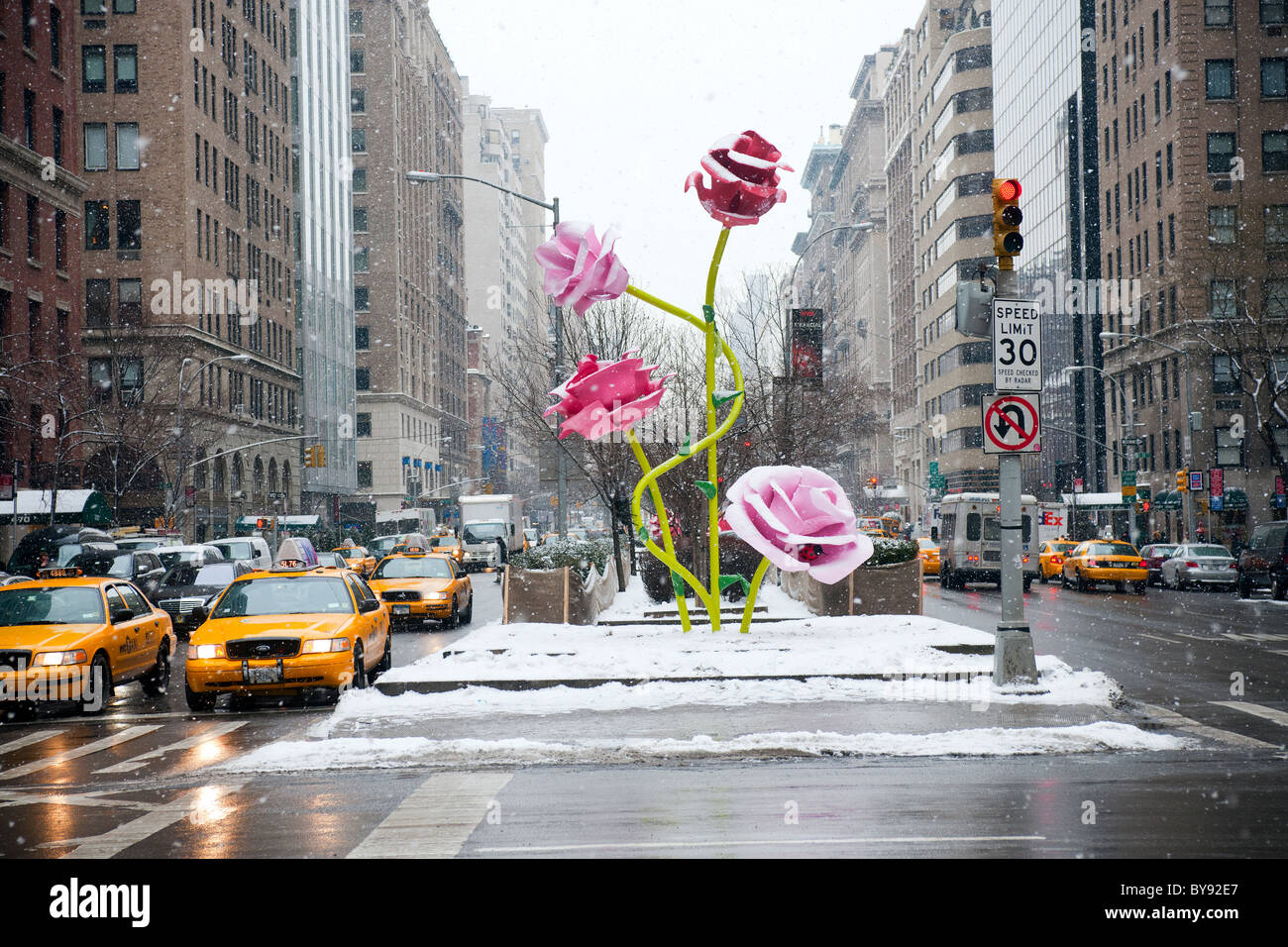 "Rose' dell'artista Ryman è visto su un snowy Martedì, 25 gennaio 2011 installato su Park Avenue mediane in New York Foto Stock