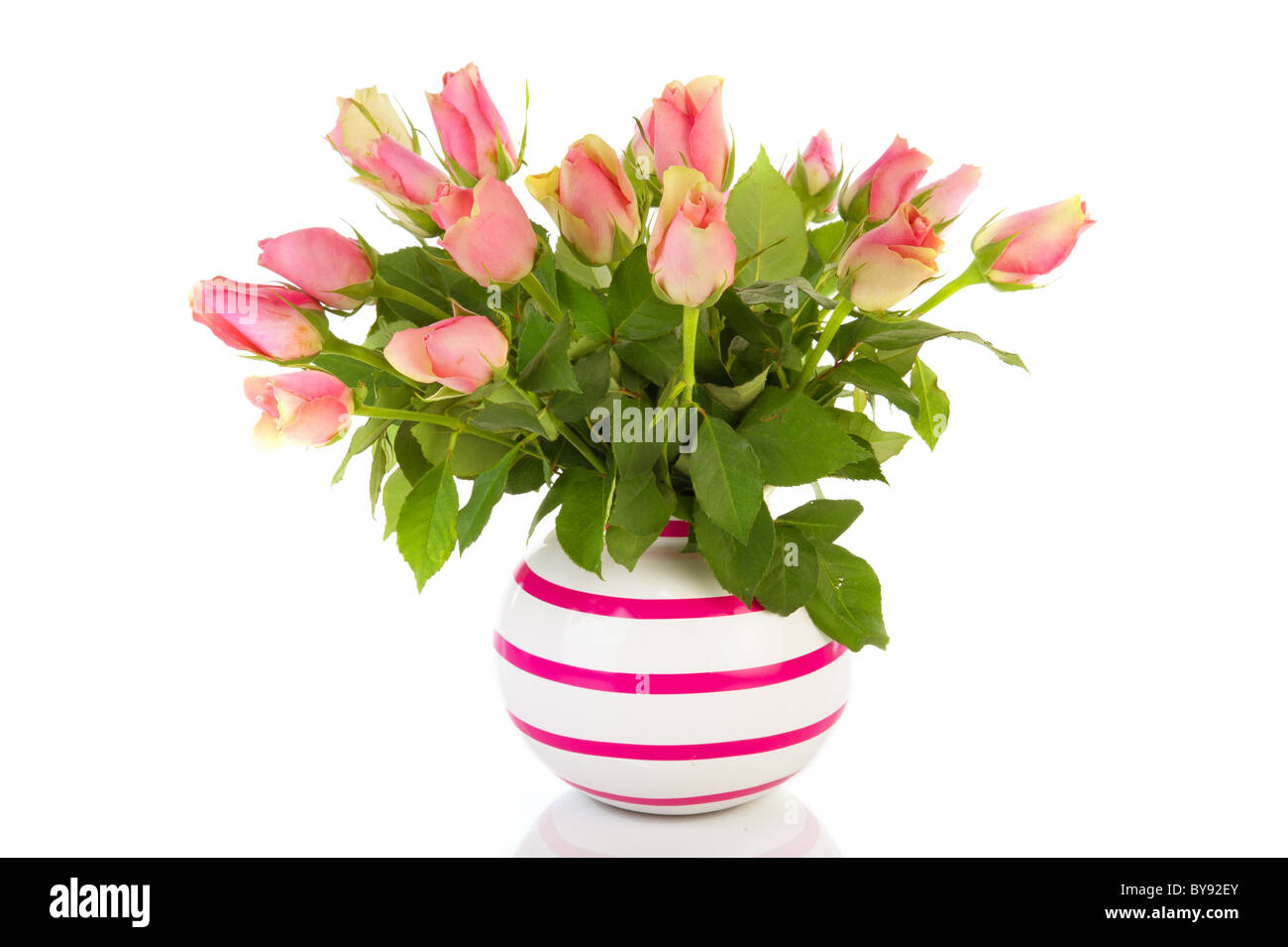 Bouquet rose rosa in vaso striato isolato su bianco Foto Stock