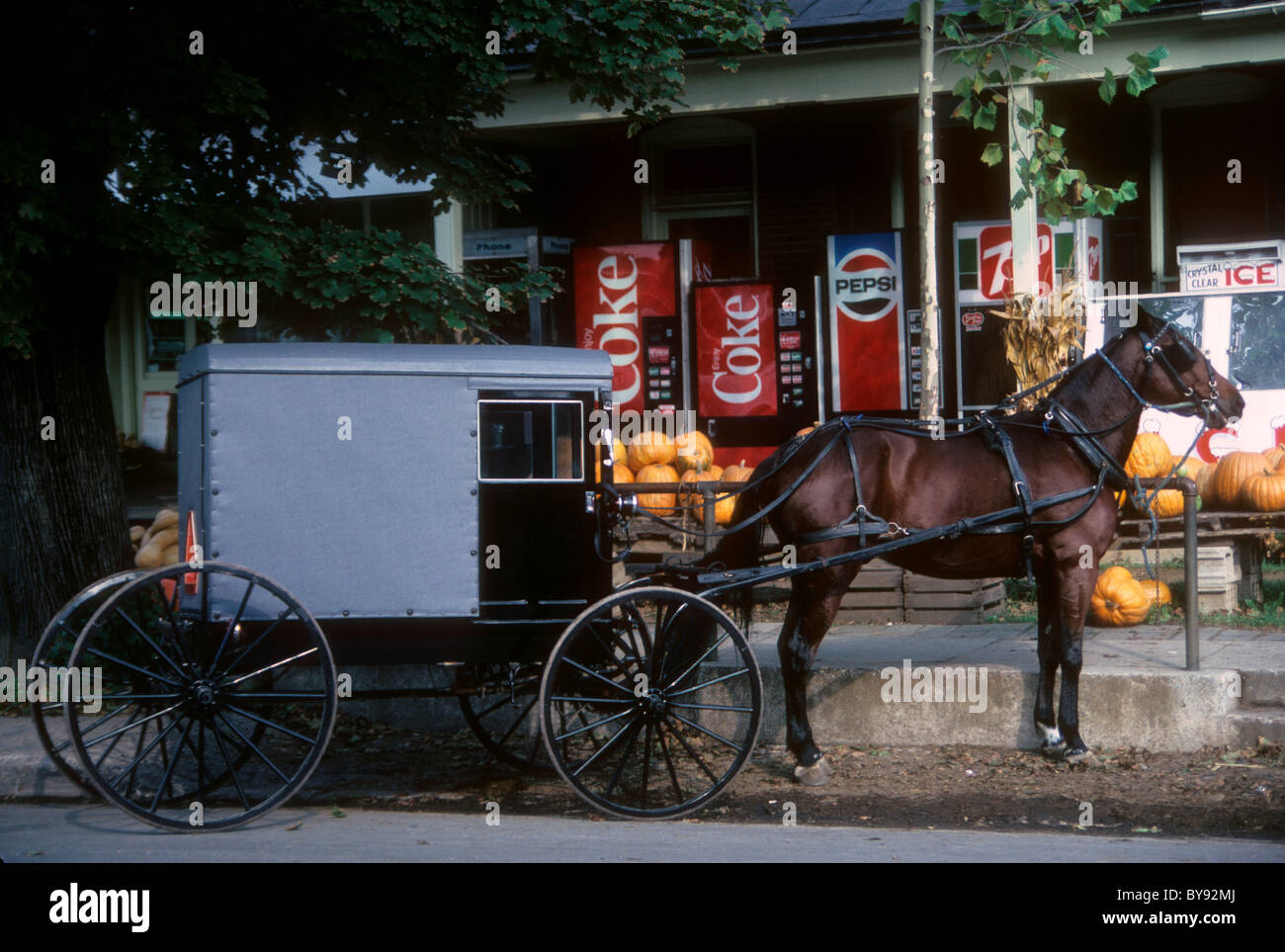 Un cavallo e buggy è parcheggiata di fronte un magazzino generale nel paese Amish di Lancaster County in Pennsylvania Foto Stock