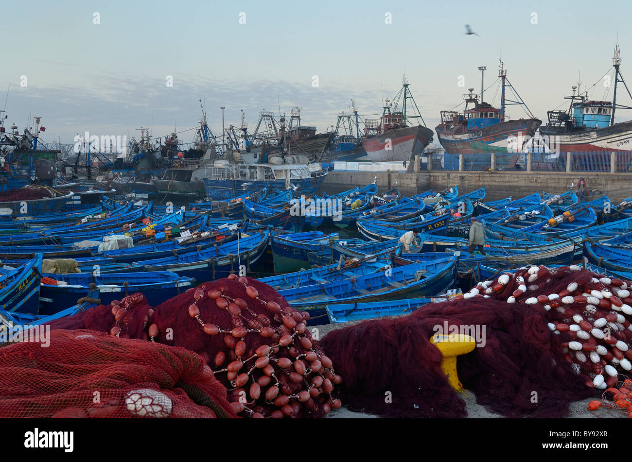 Blue barche da pesca e reti di rosso di buon mattino nel porto di Marina di essaouira Marocco con grandi ormeggiate barche da pesca Foto Stock