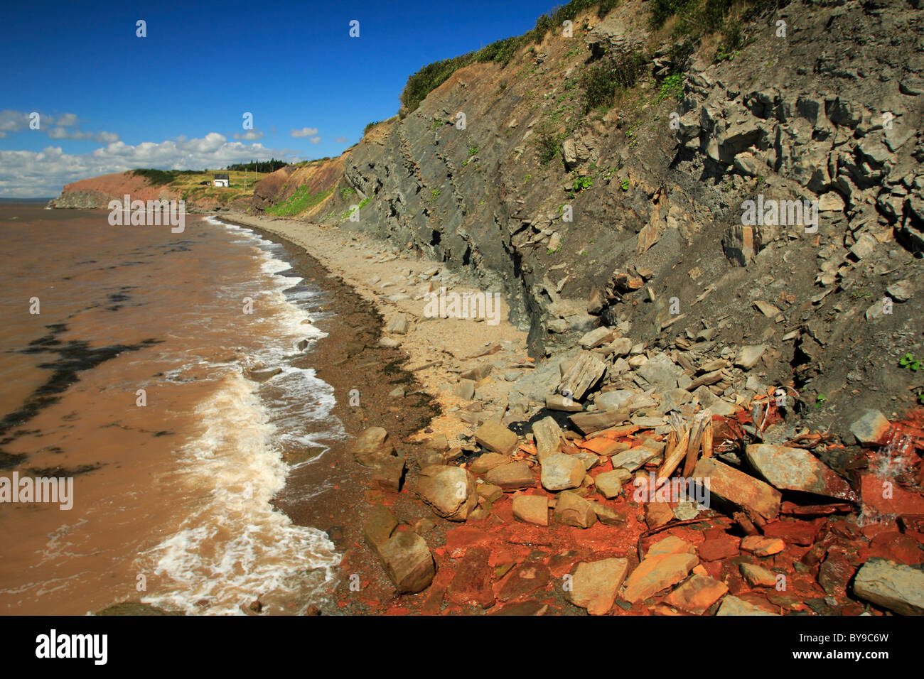 Falesie fossilifere di Joggins a Joggins, Nova Scotia, Canada Foto Stock
