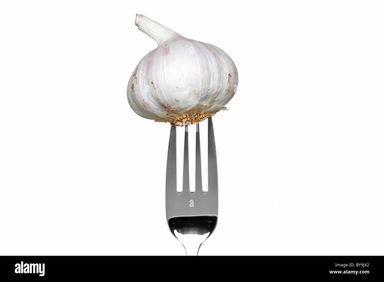 Foto di un aglio intero su una forcella isolato su uno sfondo bianco, parte di una serie. Foto Stock