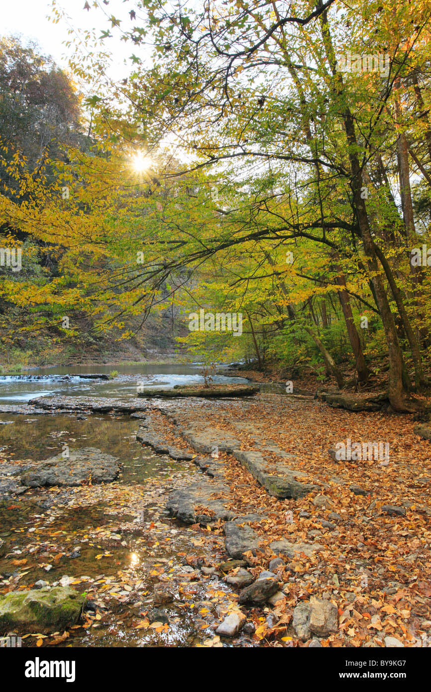 River Trail, caduta di acqua sopra il fiume Big Falls, Burgess Falls State Park, Sparta, Tennessee, Stati Uniti d'America Foto Stock