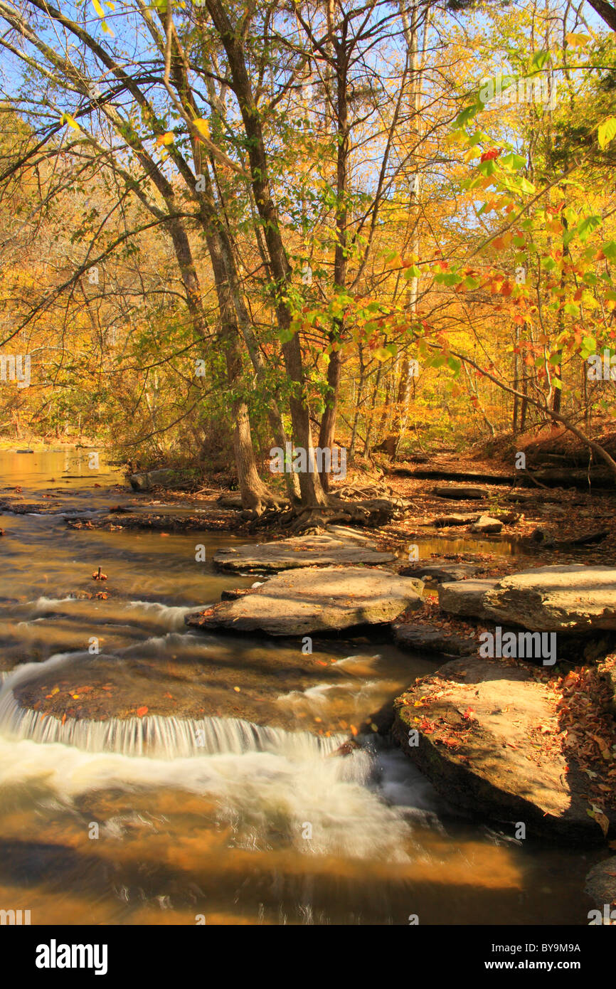 River Trail, caduta di acqua fiume, Burgess Falls State Park, Sparta, Tennessee, Stati Uniti d'America Foto Stock