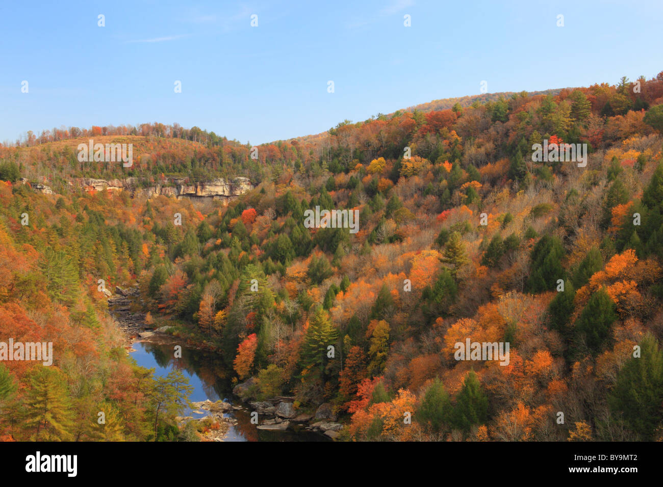 Obed selvatica e Scenic River, Lilly scogliere si affacciano, Wartburg, Tennessee, Stati Uniti d'America Foto Stock