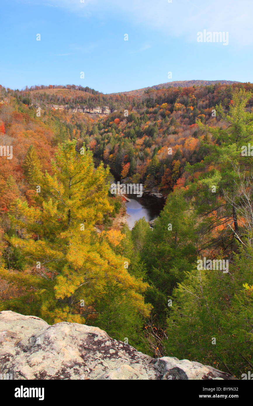 Obed selvatica e Scenic River, Lilly scogliere si affacciano, Wartburg, Tennessee, Stati Uniti d'America Foto Stock