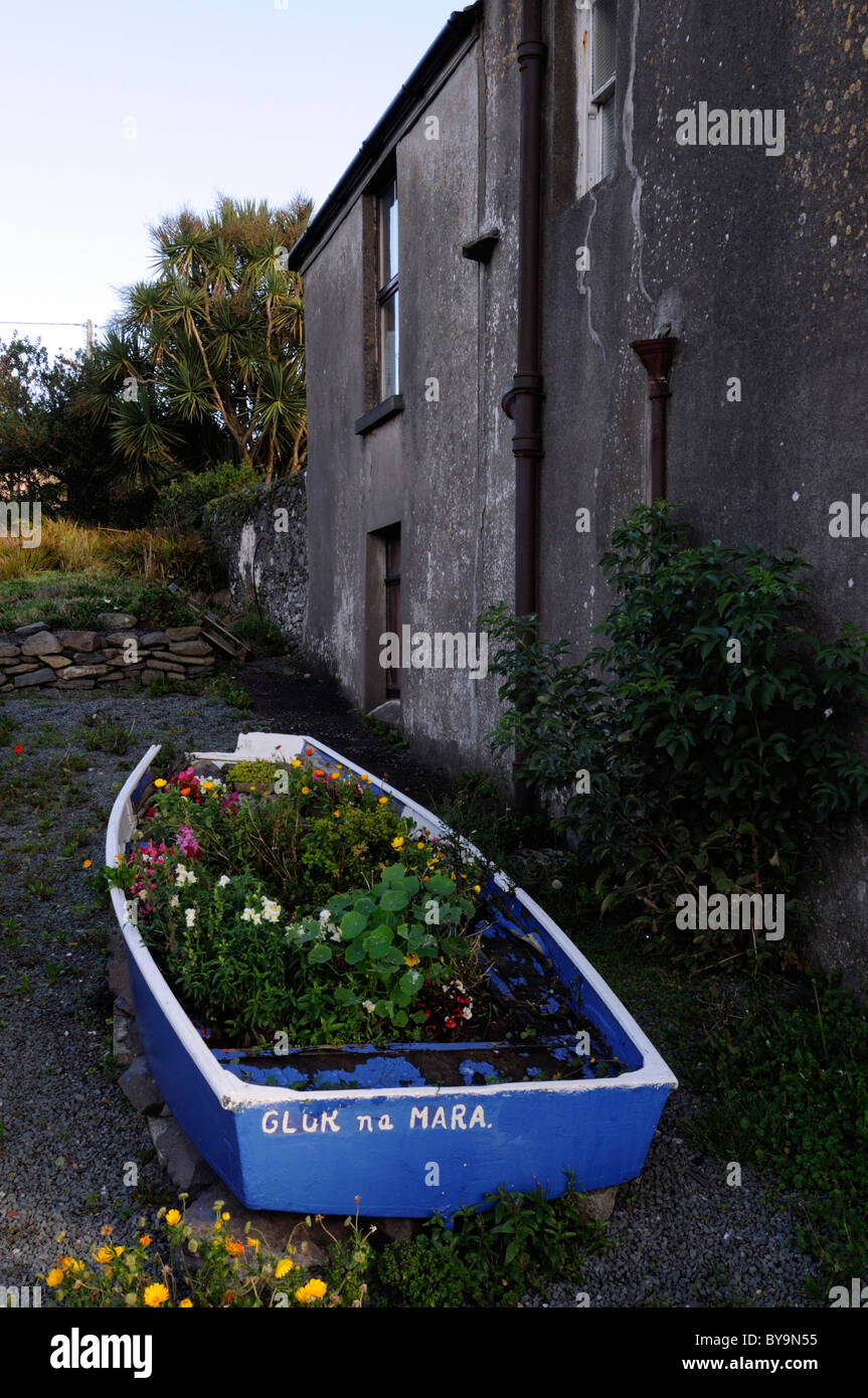 Piccola barca a remi utilizzata come un fiore pianta display biancheria da letto letto contenitore pot insolito differenti giardinaggio giardino urbano della città della città Foto Stock