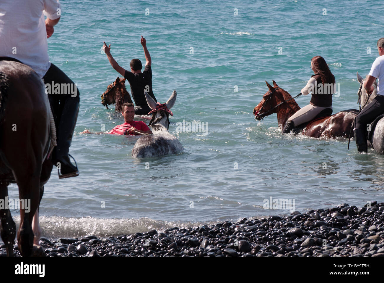 Piloti la balneazione i loro cavalli in mare a Adeje come parte dell'fiestas de San Sebastian, Tenerife, Isole Canarie, Spagna Foto Stock