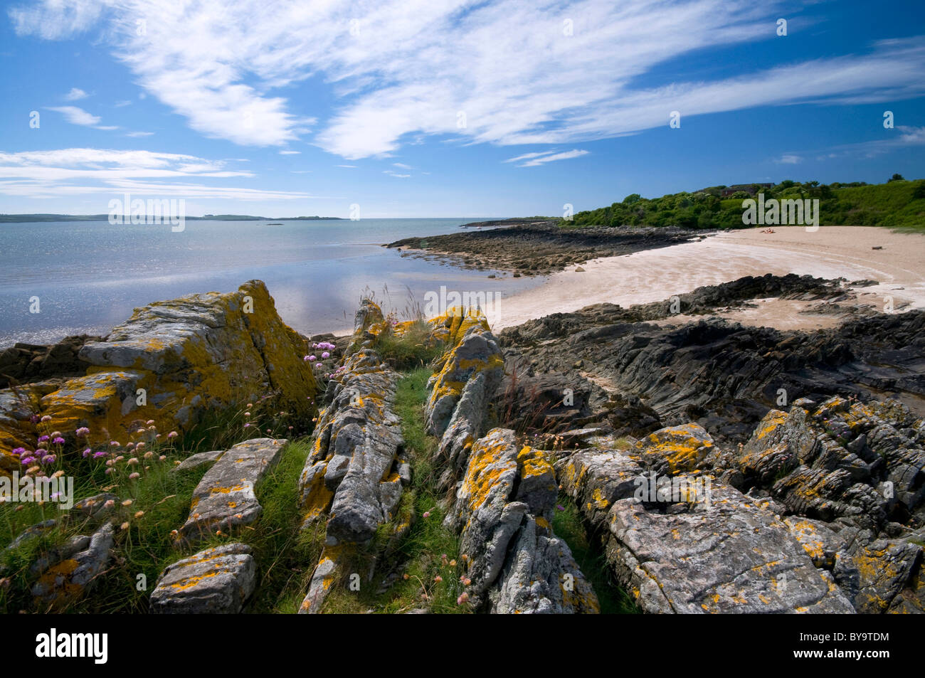 Mossyard shore, Solway Firth, Galloway Foto Stock