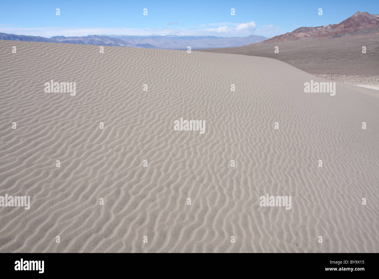 Le sabbie di 680 piedi alte dune di Eureka nel Parco Nazionale della Valle della Morte Foto Stock
