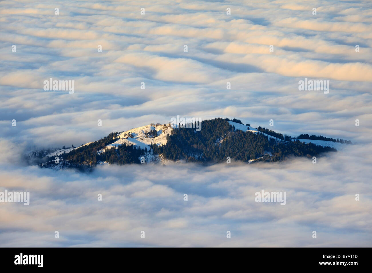 Hundwiler Hoehe montagna, 1309m, passando attraverso le nuvole, sulle colline della regione Appenzell, cantone di Appenzello Interno Foto Stock