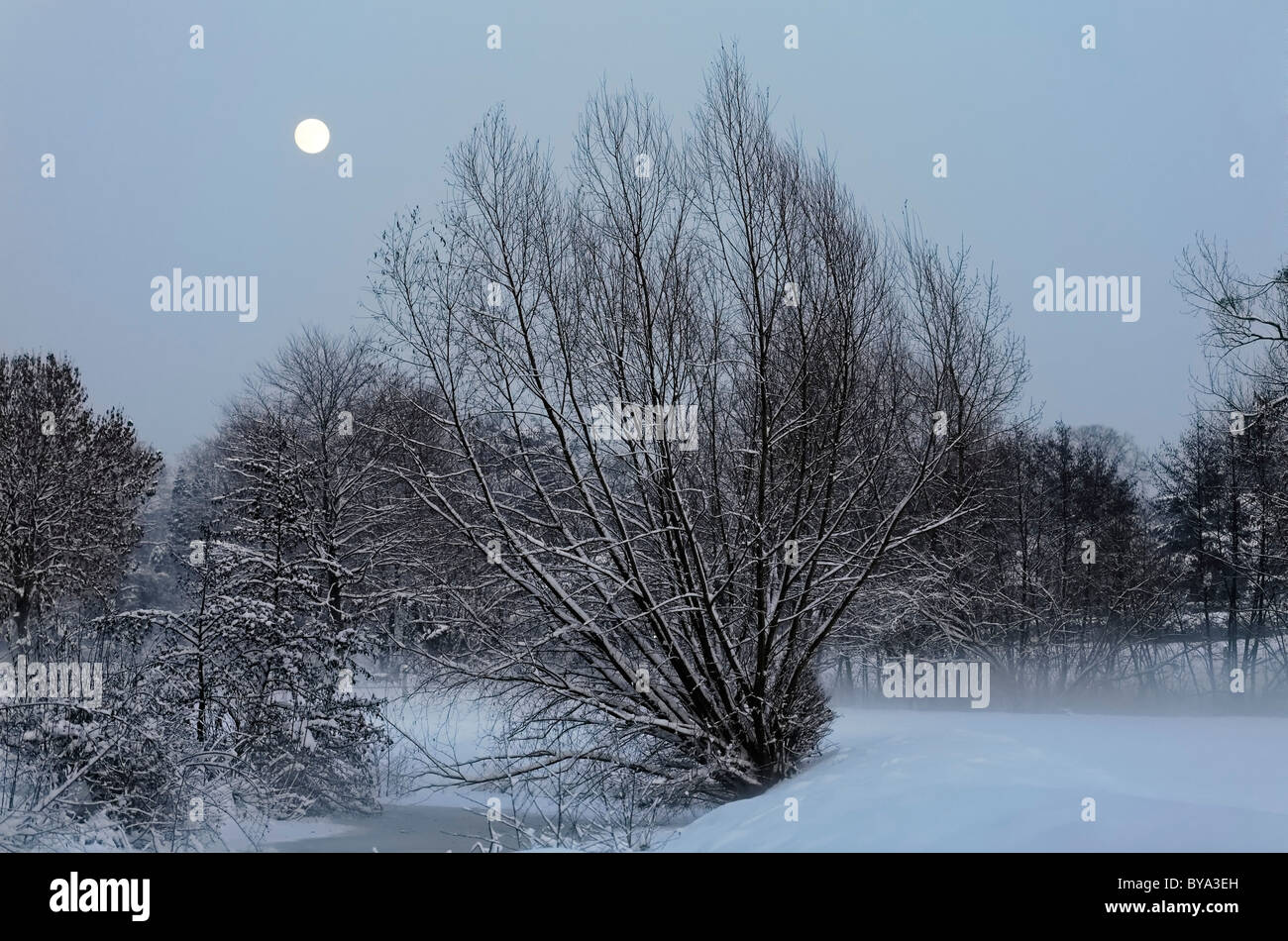 Idilliaco paesaggio invernale e la luna, regione del Basso Reno, Renania settentrionale-Vestfalia, Germania, Europa Foto Stock