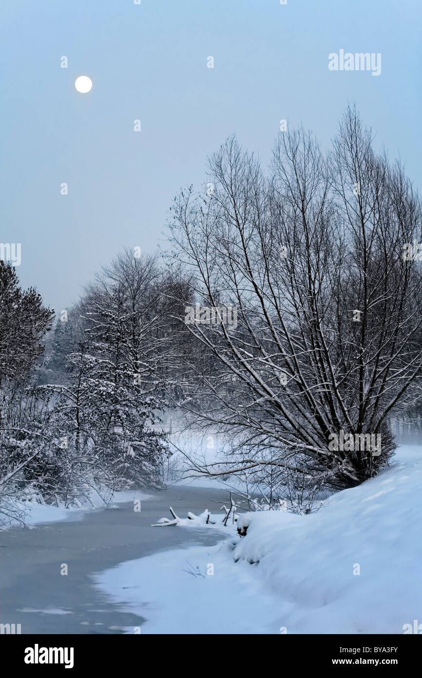 Idilliaco paesaggio invernale e la luna, regione del Basso Reno, Renania settentrionale-Vestfalia, Germania, Europa Foto Stock