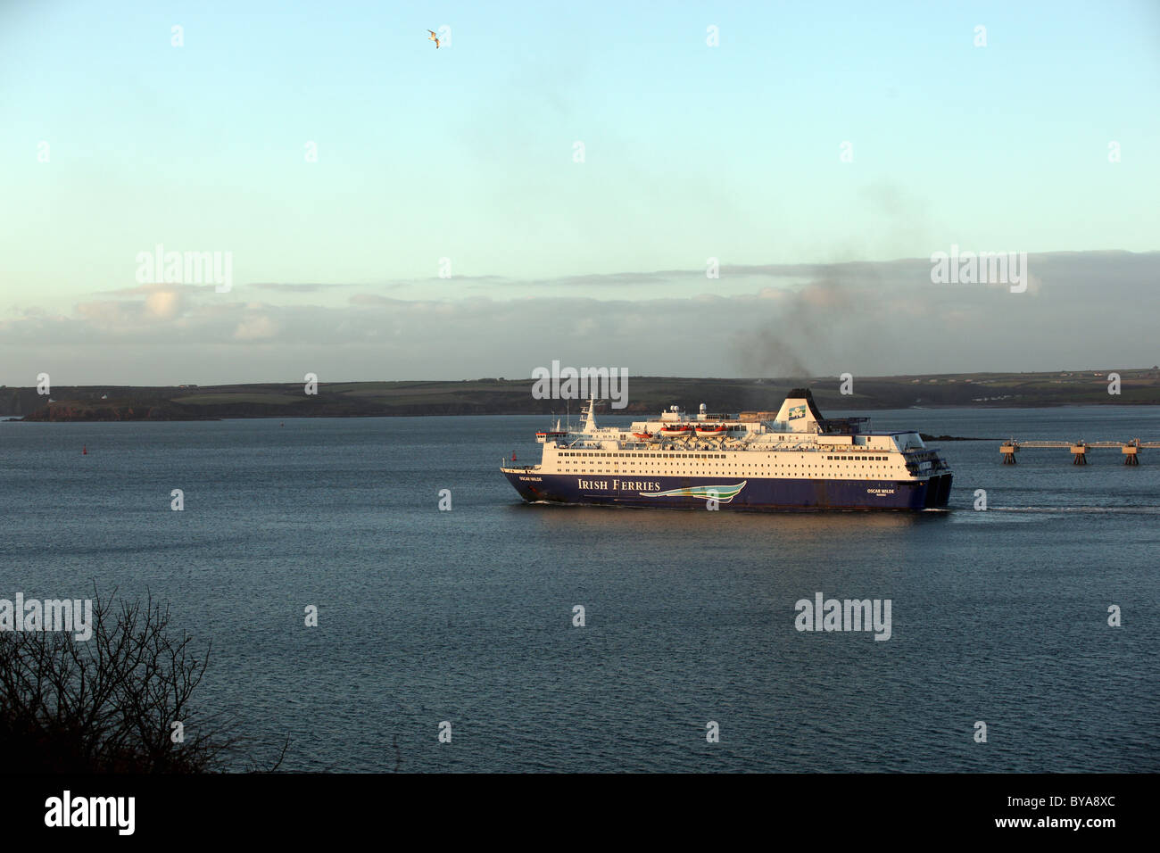 Irish Ferries nave passeggeri Oscar Wilde uscire da Pembroke Dock, come si vede da Angolo, Pembrokeshire Foto Stock