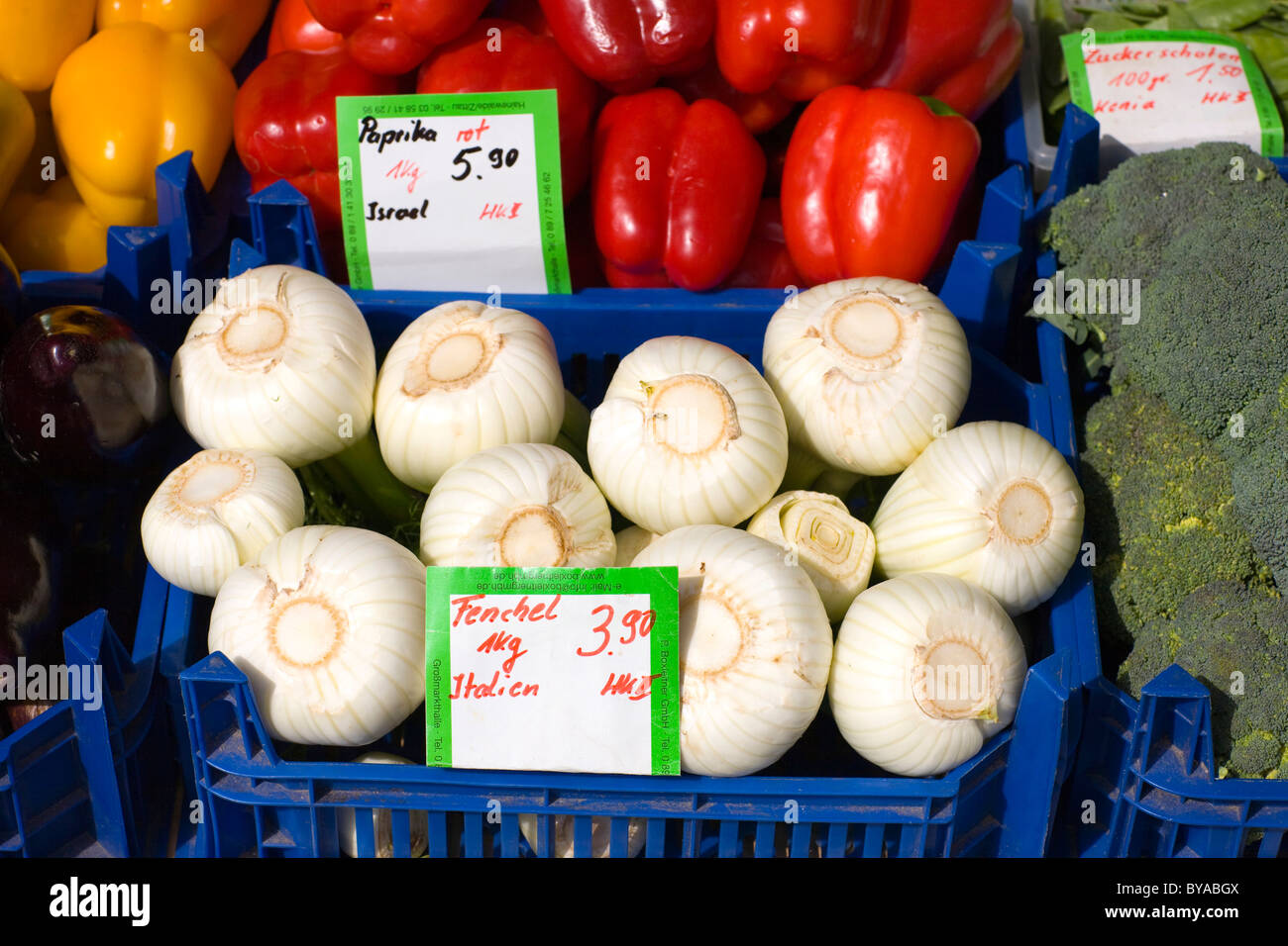 Il finocchio sul Viktualienmarkt mercato alimentare, Altstadt-Lehel distretto, Monaco di Baviera, Germania, Europa Foto Stock