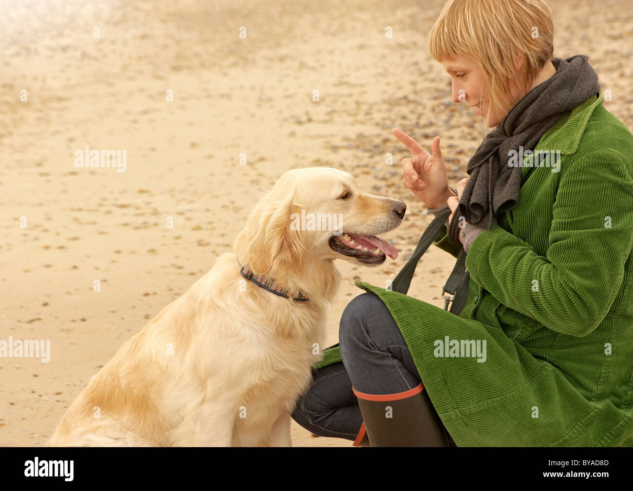 Donna del cane di formazione sulla spiaggia Autunno Autunno Foto Stock Donna del cane di formazione sulla spiaggia Autunno Autunno Foto Stock