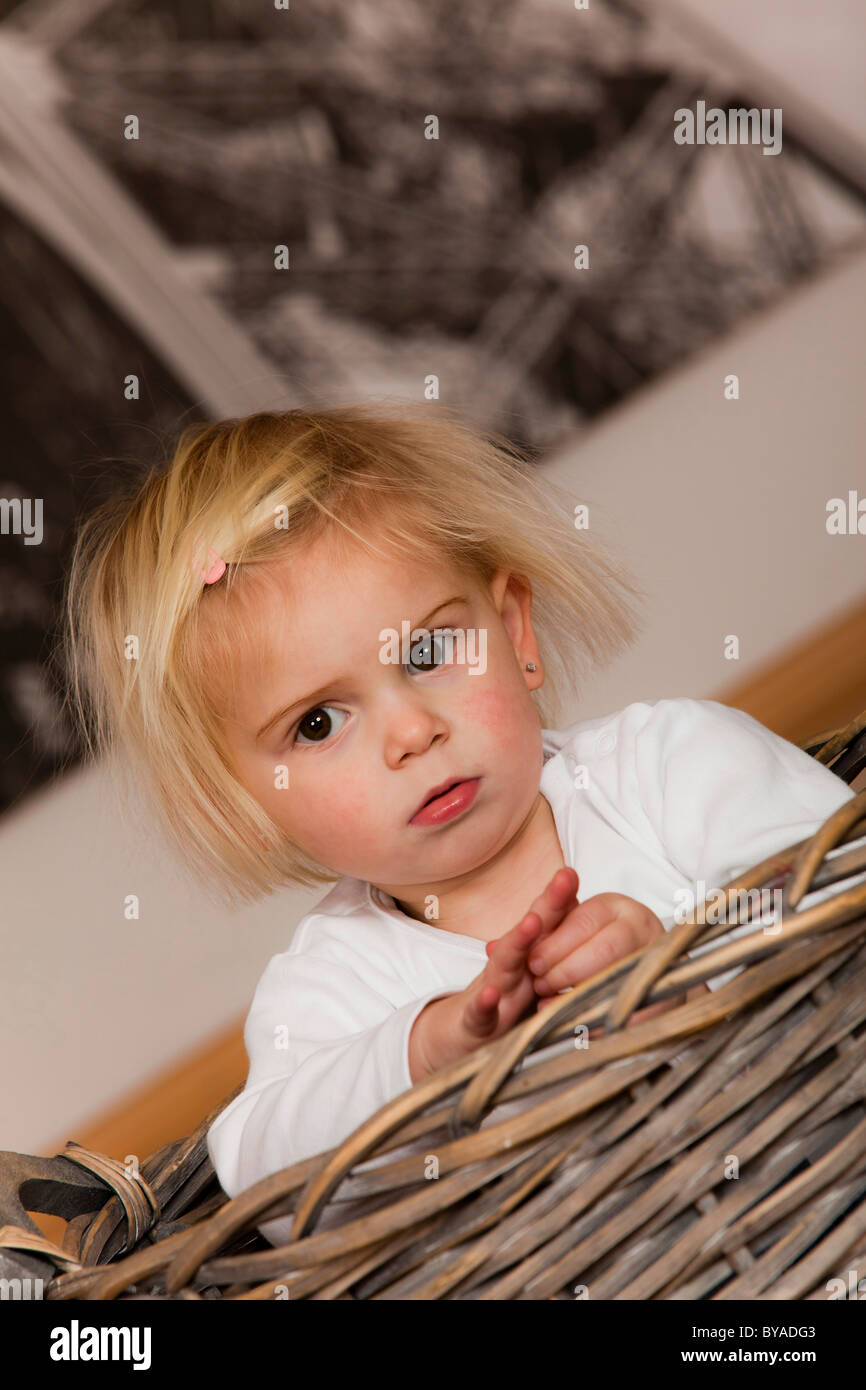 Ragazza, 1,5 anni, seduti in un cestello Foto Stock