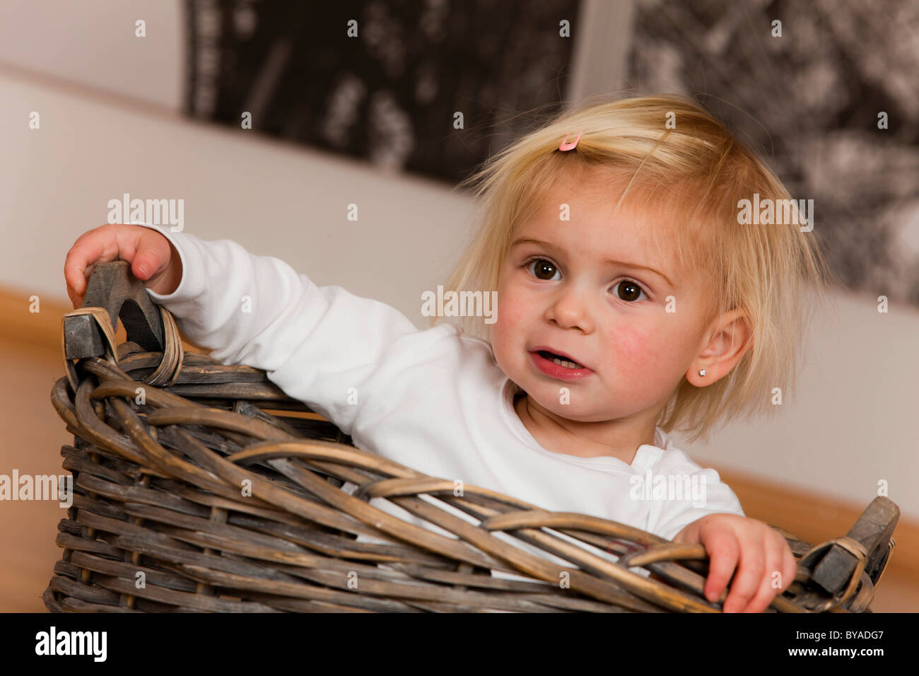 Ragazza, 1,5 anni, seduti in un cestello Foto Stock