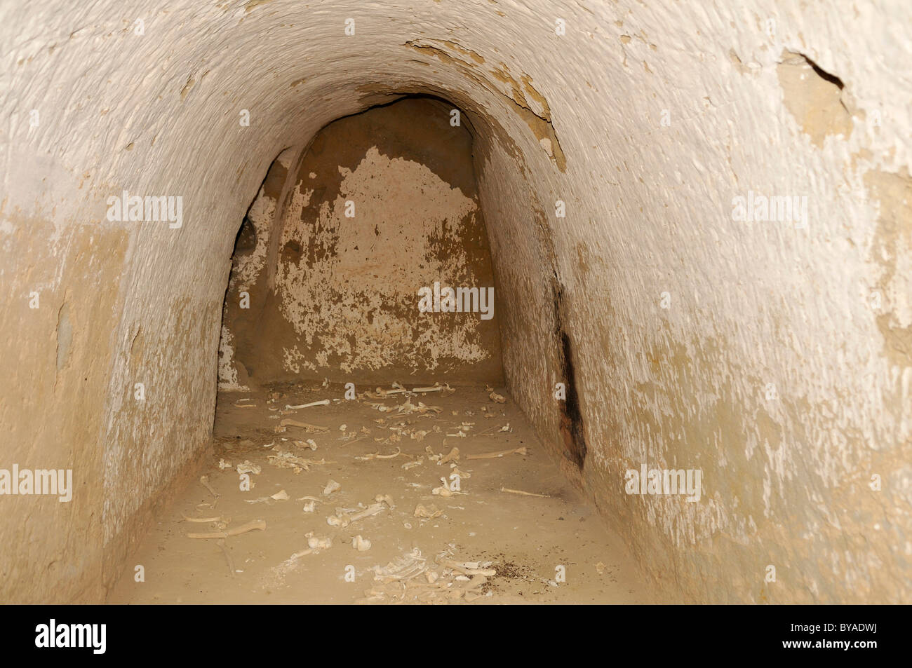 Tomba con le ossa, inizio buddista del sito archeologico di Kara Tepe, Termez,'Amudarja valley, Uzbekistan in Asia centrale Foto Stock