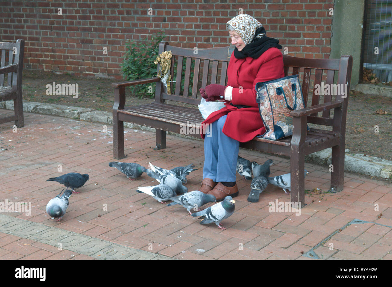 Donna anziana alimentazione di uccelli, principalmente piccioni selvatici nel parco. uk. Foto Stock