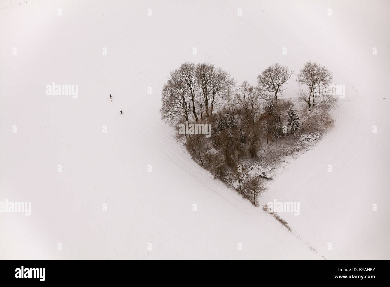 Vista aerea, a forma di cuore gruppo di alberi, neve Oelmuehlenweg street, Hachhausen, Datteln, la zona della Ruhr, Renania settentrionale-Vestfalia Foto Stock