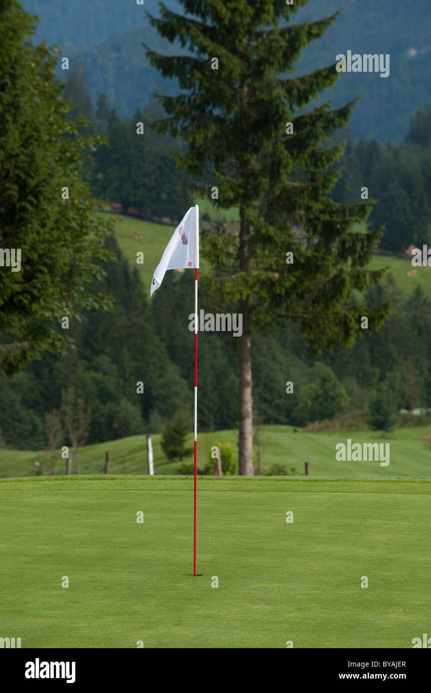 Flag per indicare il foro sul verde, campo da golf, Tirolo, Austria, Europa Foto Stock