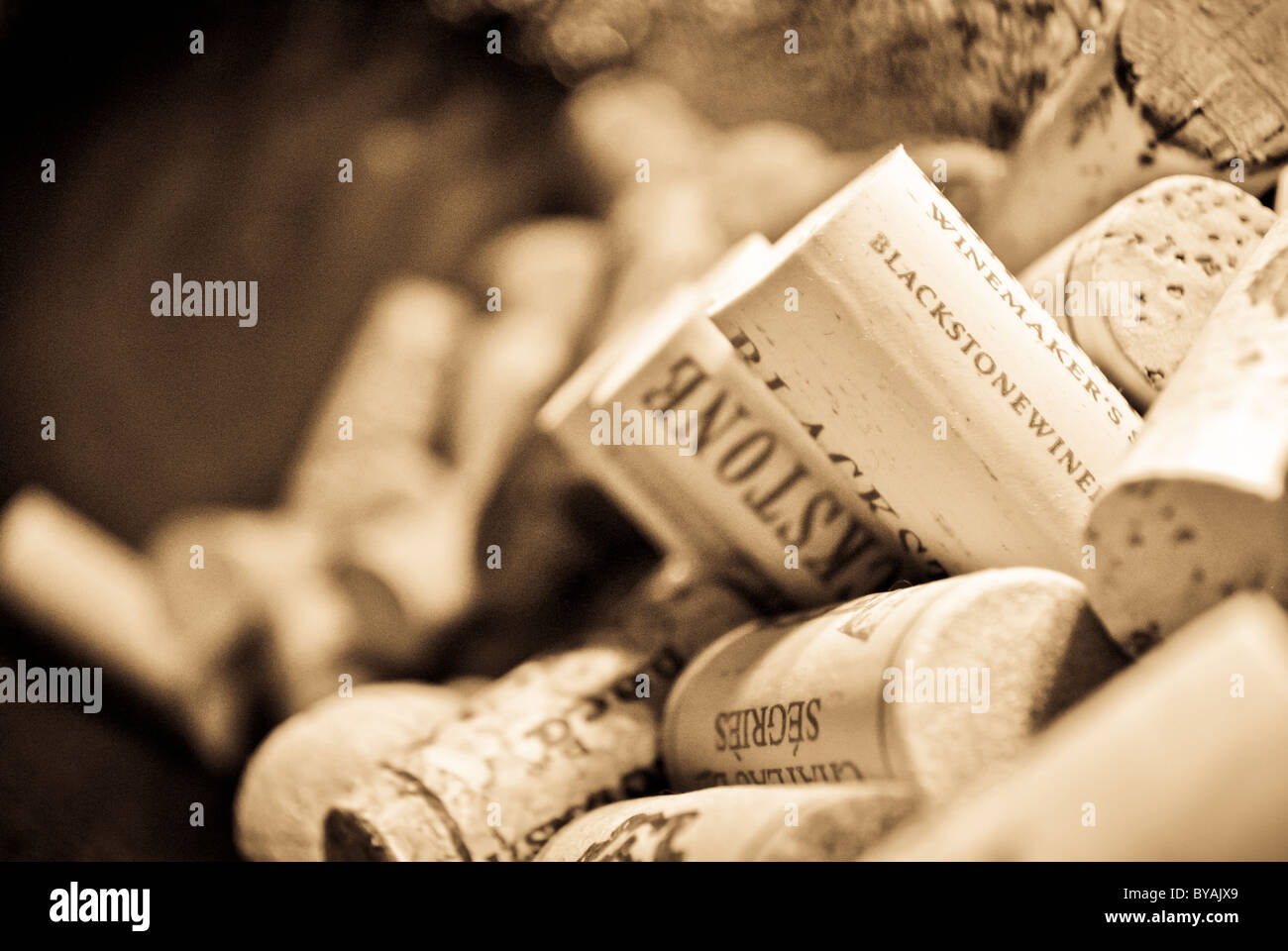 Bottiglia di vino i tappi di sughero. Foto Stock