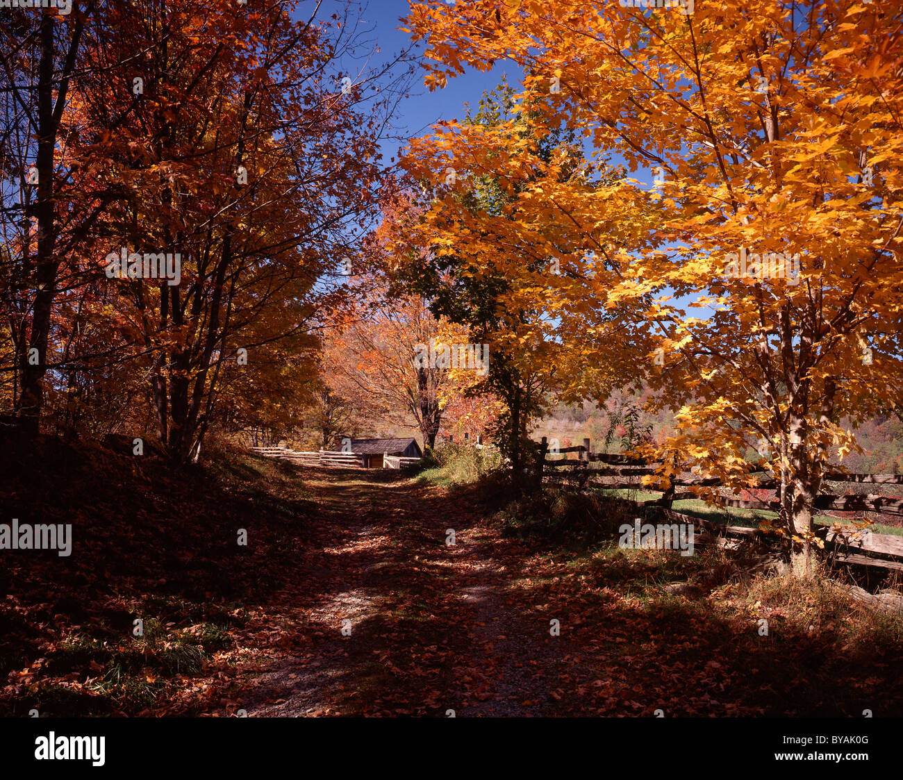 Strada rurale in autunno, VA Foto Stock