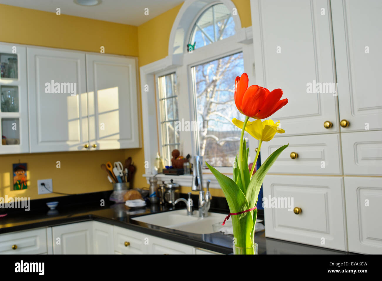 Bianco cucina moderna con red tulip Foto Stock