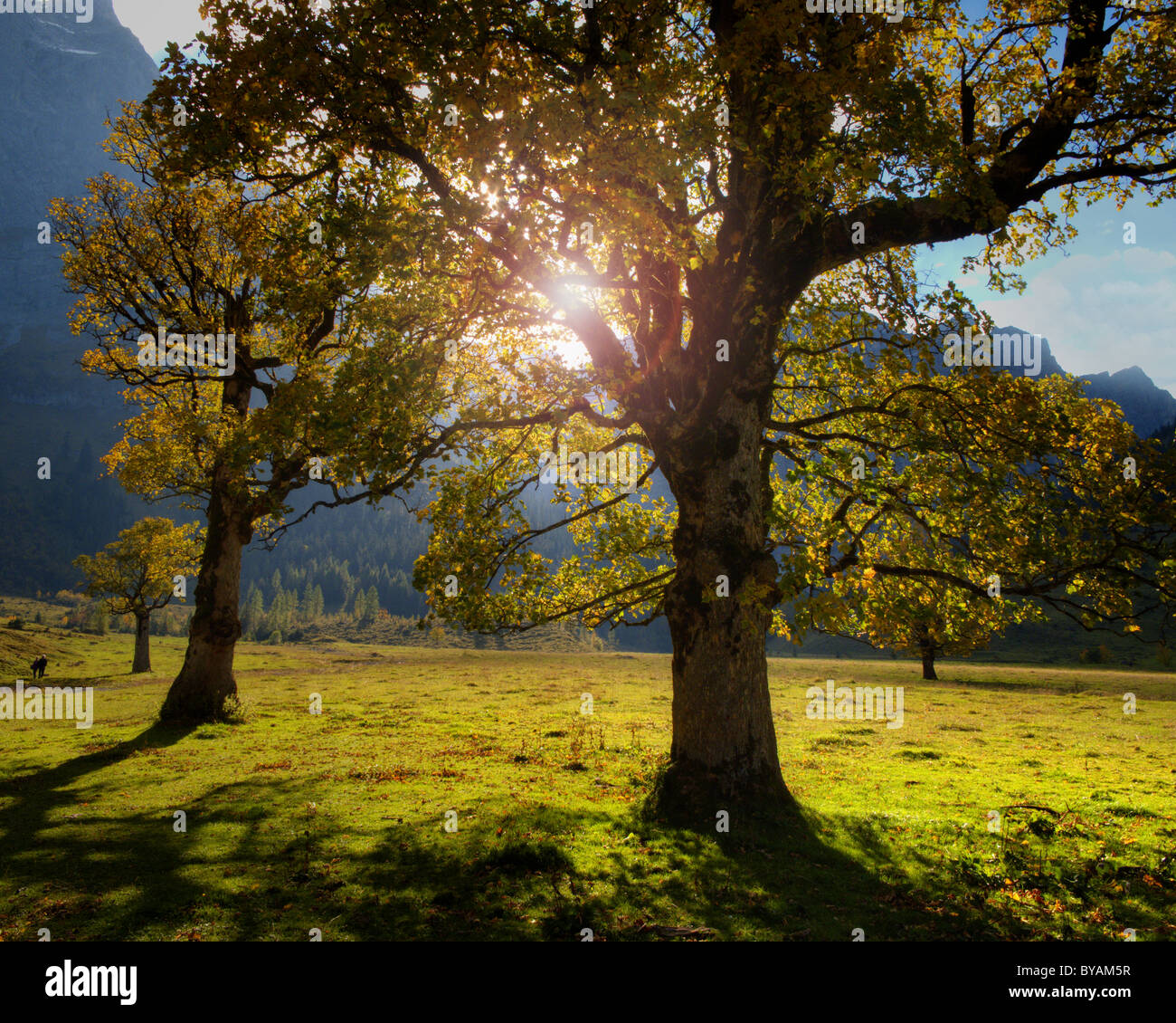 A - Tirolo: Grosser Ahornboden Foto Stock