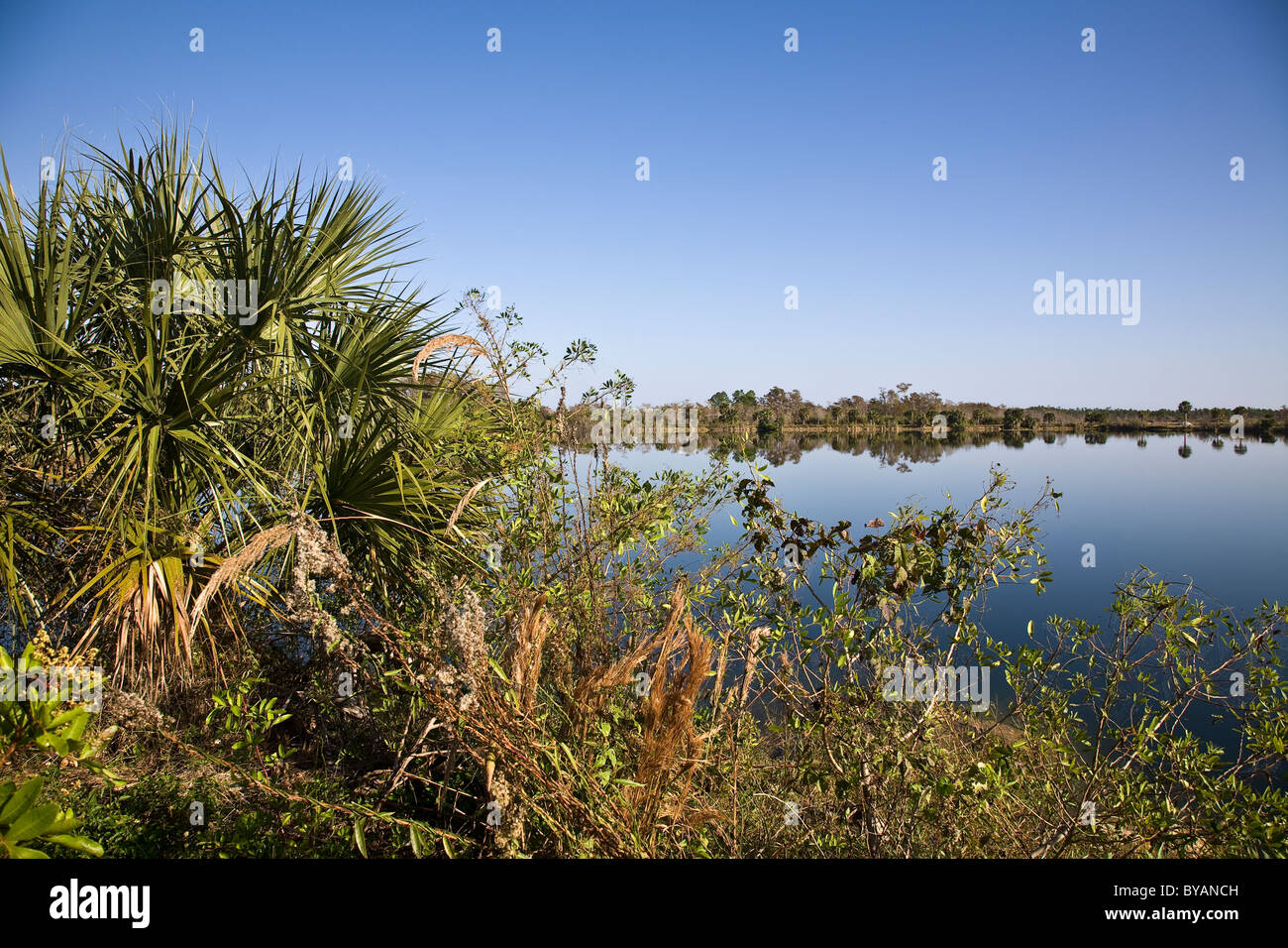 Monumento lago, uno dei tanti laghi e stagni in 2.400 square mile Big Cypress National Preserve, accanto al parco nazionale delle Everglades Foto Stock