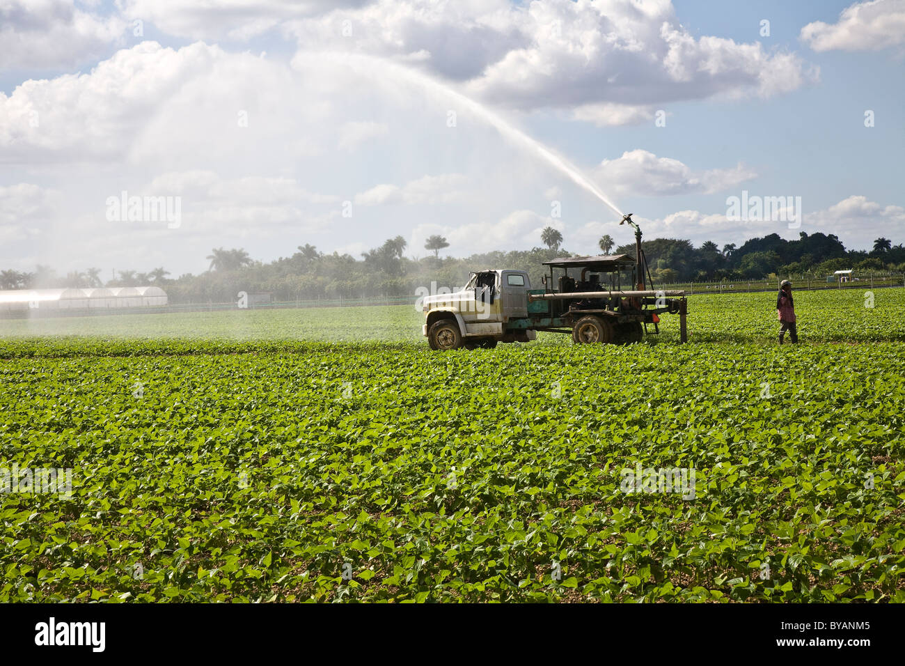 Lo sviluppo agricolo e rurale zona fra Homestead e il principale ingresso al parco nazionale delle Everglades, Florida, Stati Uniti d'America Foto Stock