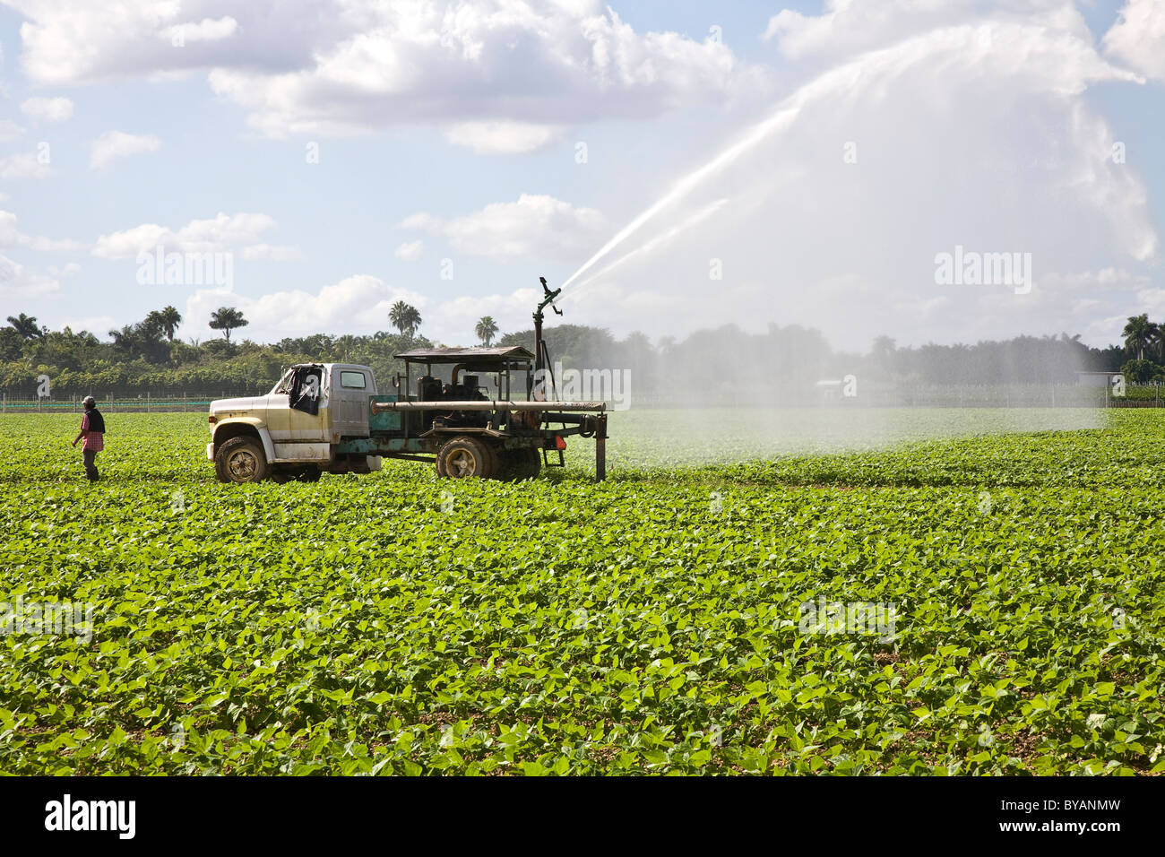 Lo sviluppo agricolo e rurale zona fra Homestead e il principale ingresso al parco nazionale delle Everglades, Florida, Stati Uniti d'America Foto Stock