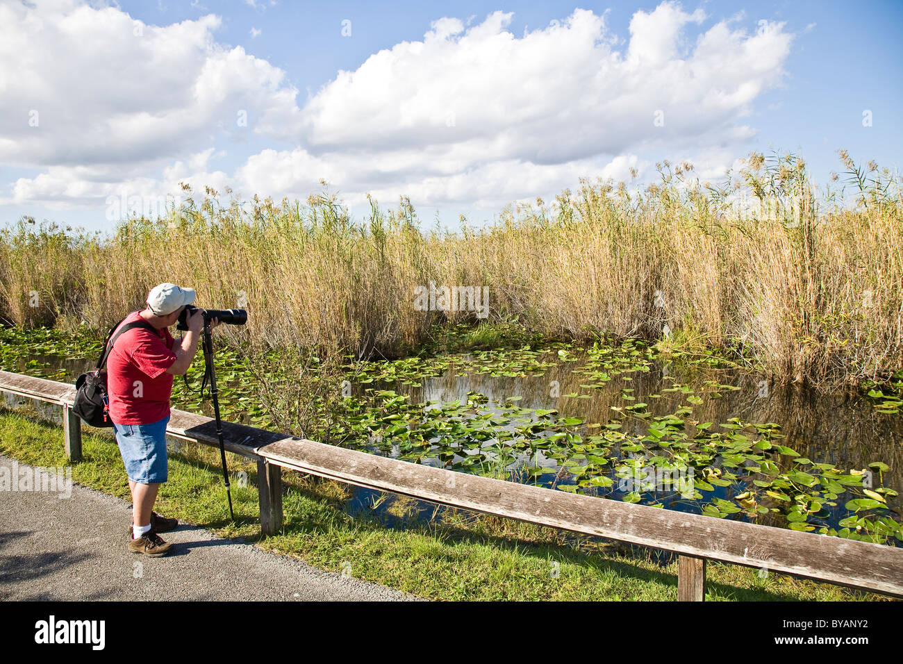 Anhinga sentiero conduce i visitatori provenienti dal Royal Palm Centro di attività in un paese delle meraviglie della fauna selvatica in Everglades National Park, FL, Stati Uniti d'America Foto Stock