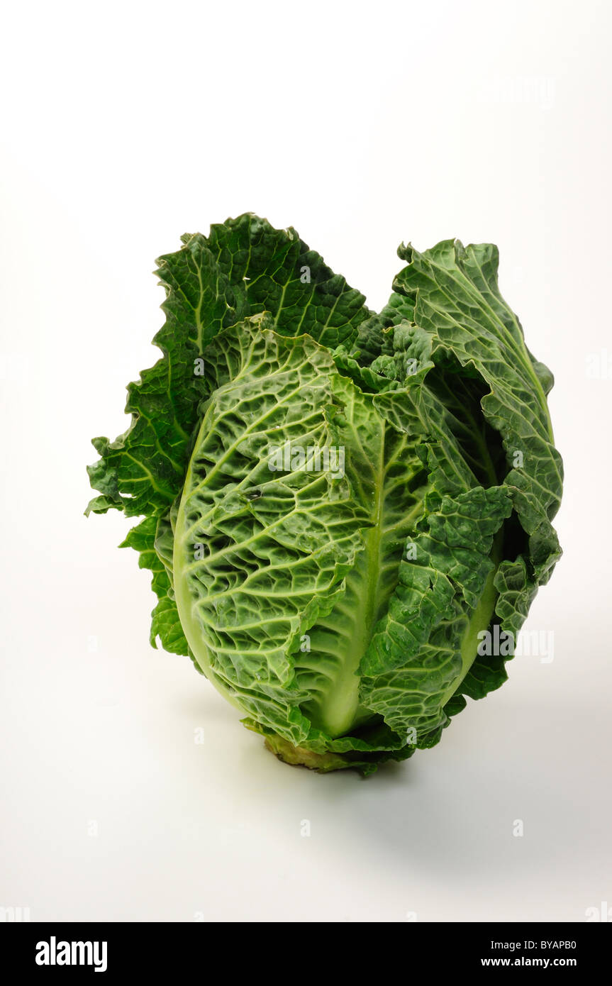 Lincolnshire cavolo verde. Foto Stock