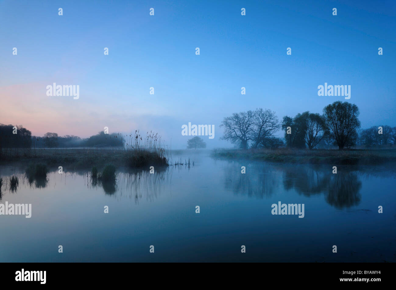 Vista su un lago in Mittlere Elbe riserva della biosfera sul fiume Elba all'alba, Sassonia-Anhalt, Germania, Europa Foto Stock