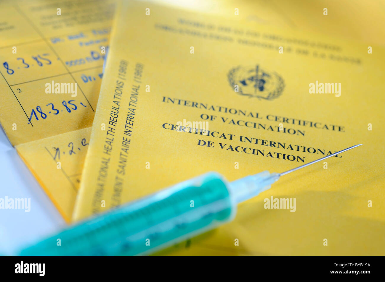 Прививка от желтой лихорадки. Вакцинация против желтой лихорадки. Желтая лихорадка вакцина. Желтая лихорадка вакцина. Вакцинация против желтой лихорадки.